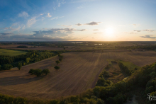 Panorama, Felder in S-H im Sonnenuntergang