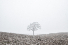 Schnee im April