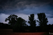 Gewitter