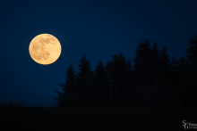 Vollmond