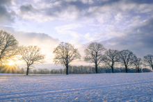 Winterlandschaft