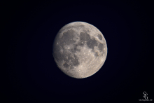 Mond