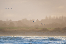 Ostsee bei Sturm
