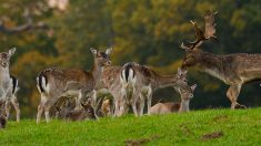 Neue Bilder (November)