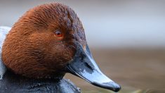 Neue Bilder – Februar 2026